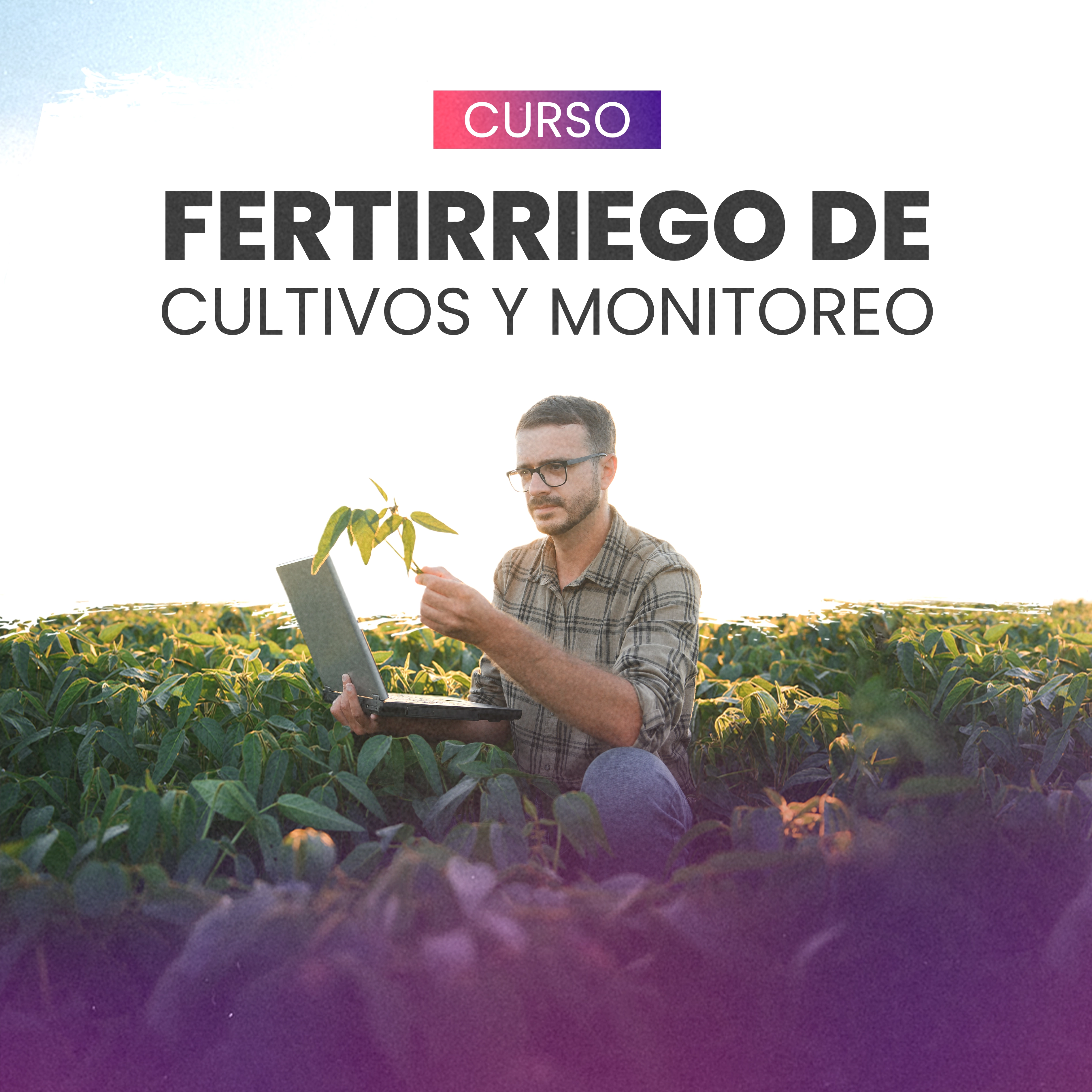 Fertirriego de cultivos y monitoreo